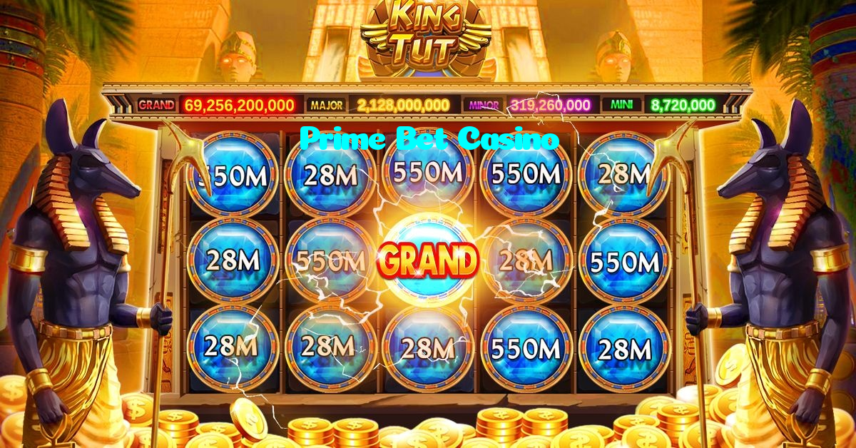 available types of Prime Bet Casino bet including pre-match live express and system bets